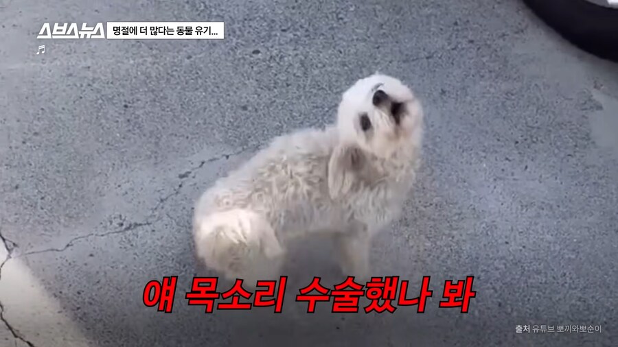 의외로 매년 명절 연휴마다 무너진다는 인류애_6.png