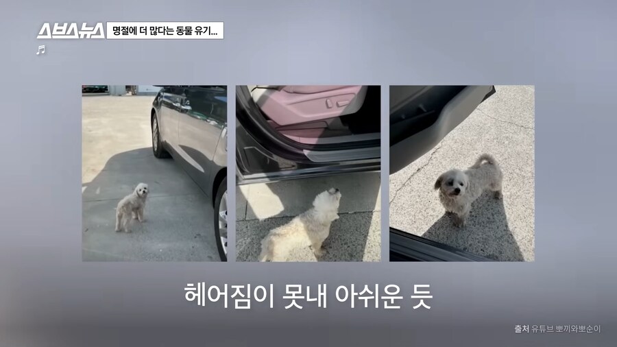 의외로 매년 명절 연휴마다 무너진다는 인류애_7.png