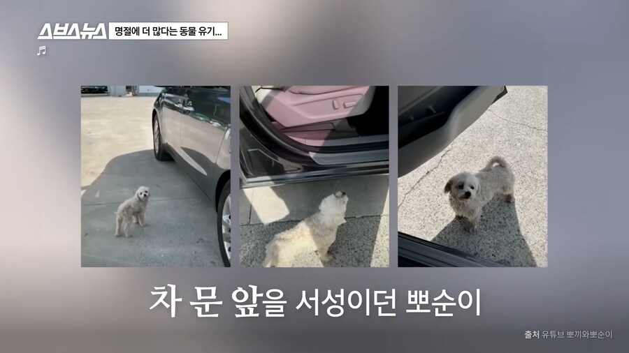의외로 매년 명절 연휴마다 무너진다는 인류애_8.png
