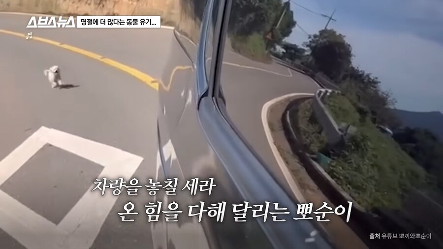 의외로 매년 명절 연휴마다 무너진다는 인류애_11.png