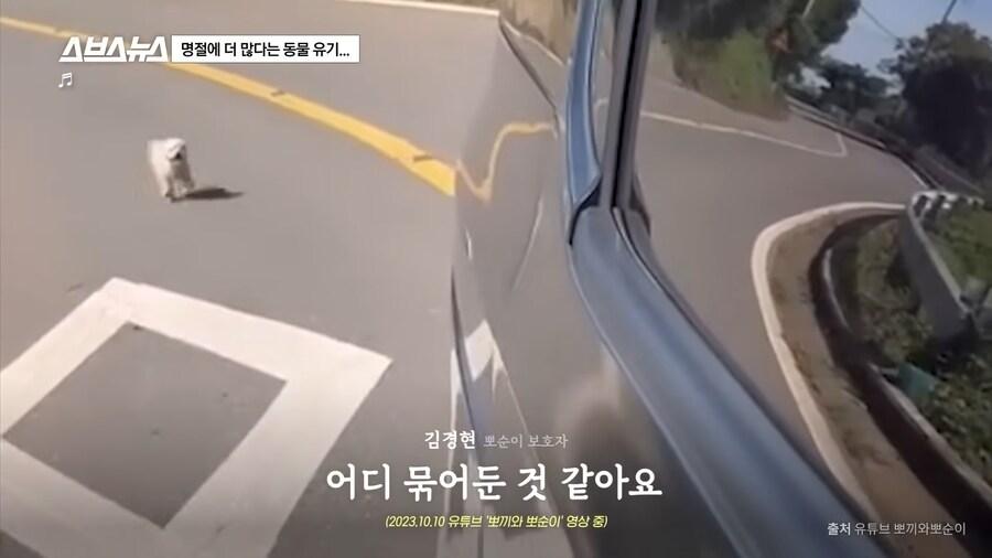 의외로 매년 명절 연휴마다 무너진다는 인류애_25.png
