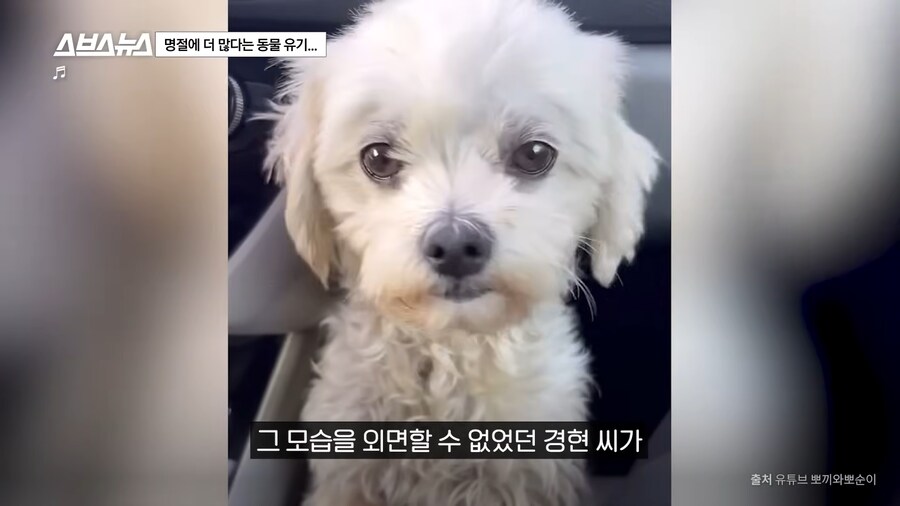 의외로 매년 명절 연휴마다 무너진다는 인류애_14.png