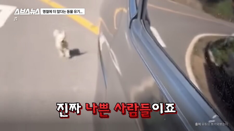 의외로 매년 명절 연휴마다 무너진다는 인류애_26.png