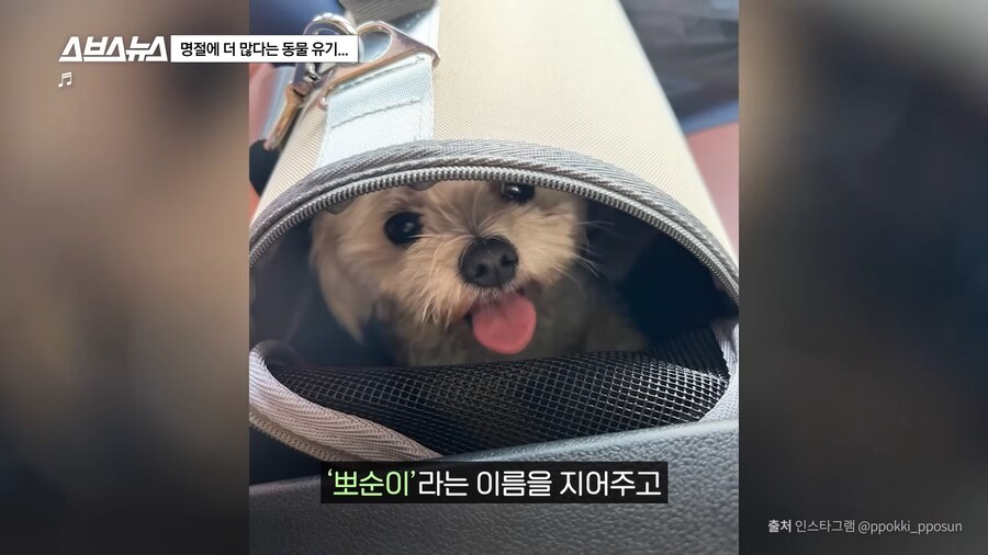 의외로 매년 명절 연휴마다 무너진다는 인류애_15.png