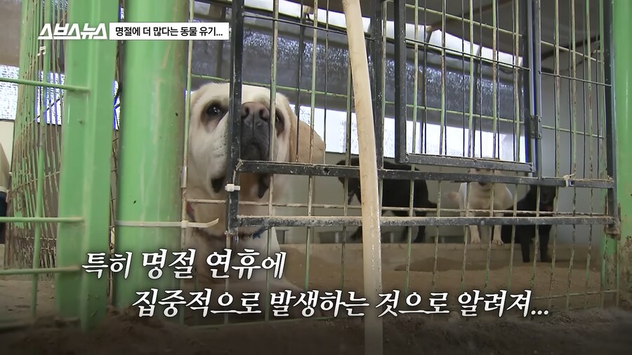 의외로 매년 명절 연휴마다 무너진다는 인류애_28.png