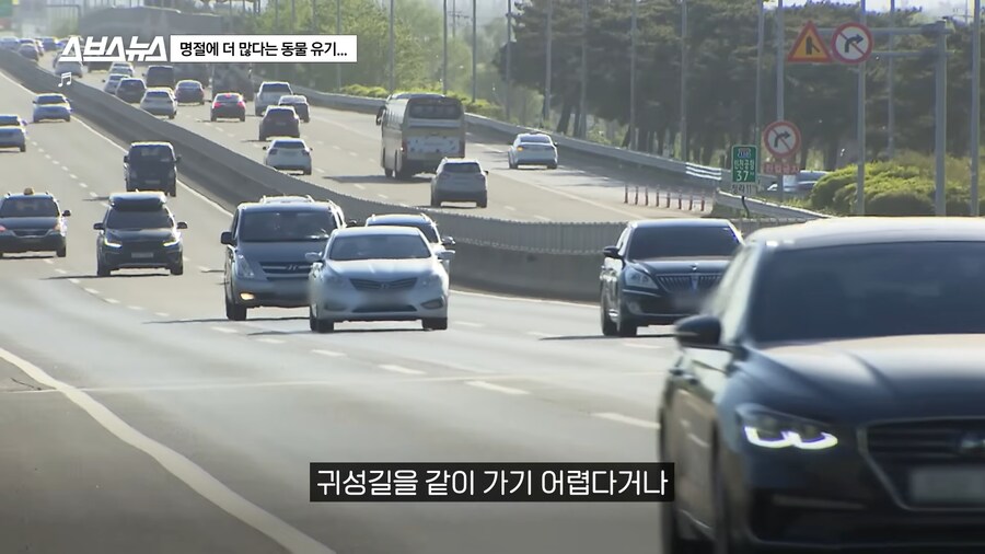 의외로 매년 명절 연휴마다 무너진다는 인류애_30.png