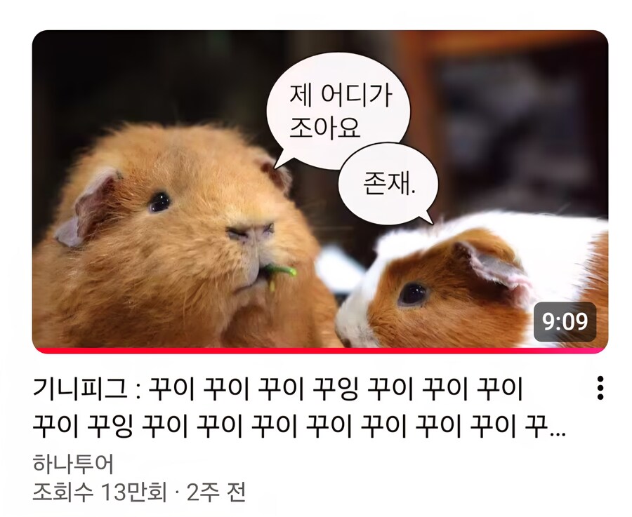 포켓몬) 메가메가니움 유출_1.jpg