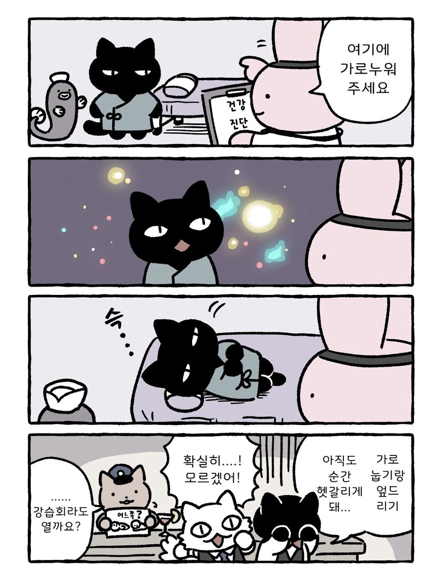 호랭새우 인형은 흰마스터 나올때 사야게따_1.jpg