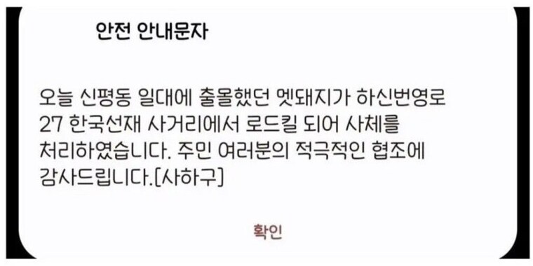 멧돼지 레이드 성공한 사하구_2.png