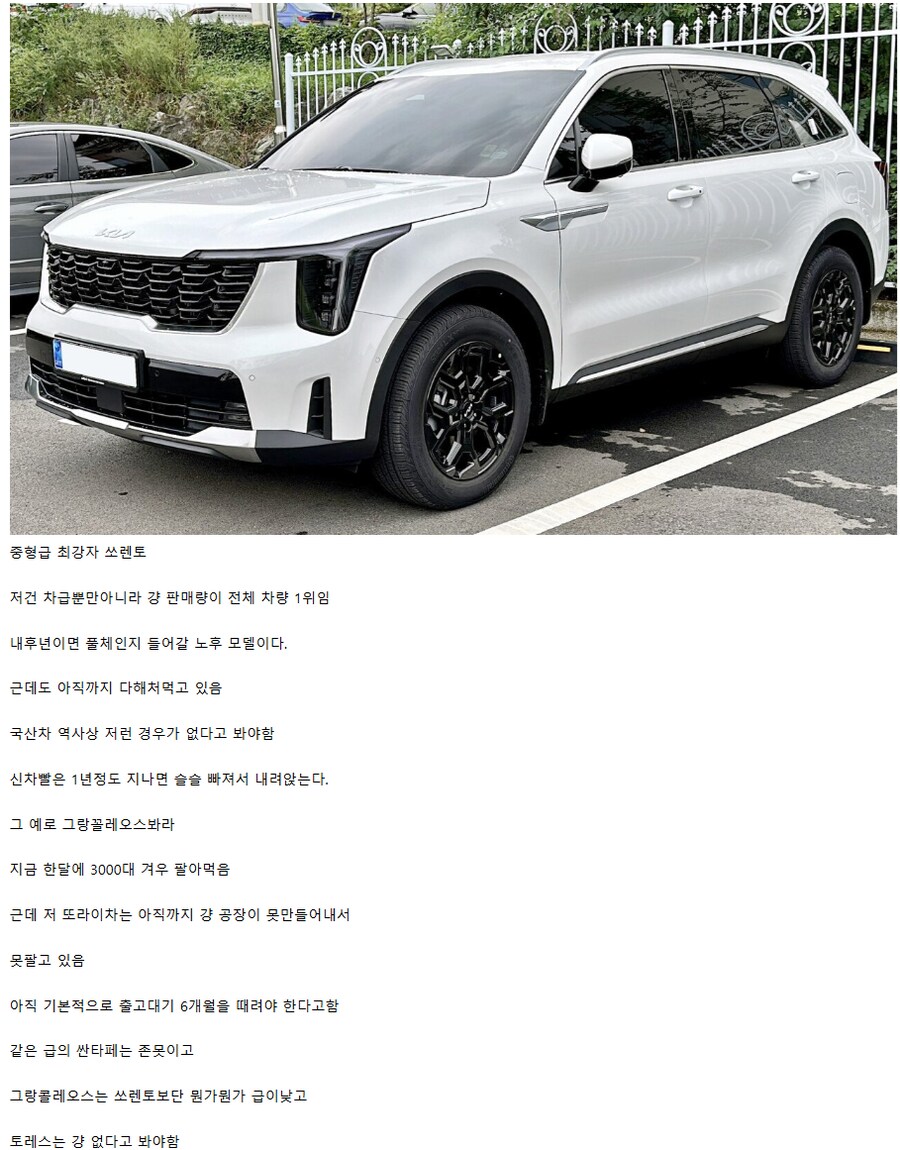 2025년 현재 자동차 체급별 최강자들.jpg_4.png