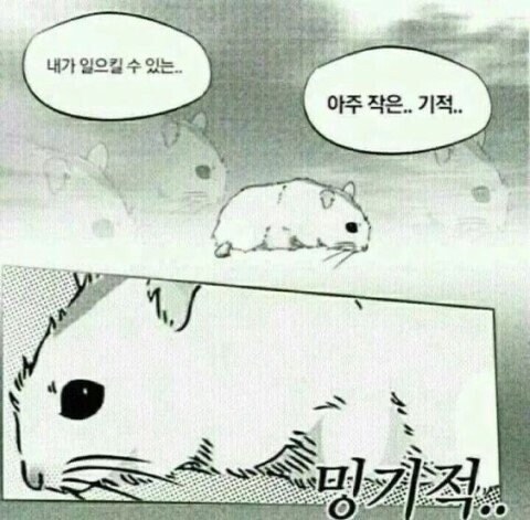 내일 내가 출근전에 일으킬수있는 단하나의 기적_1.jpg