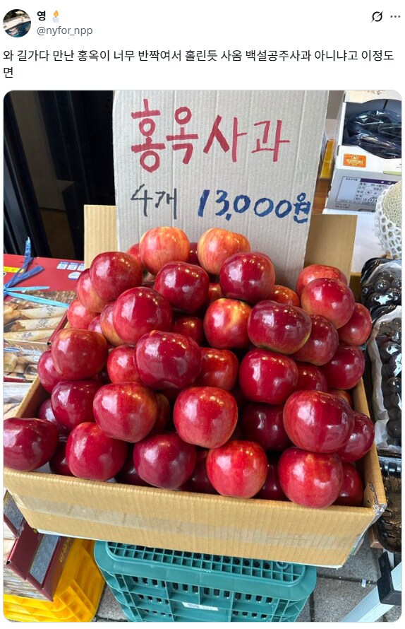 백설공주 이해하기.jpg_1.png