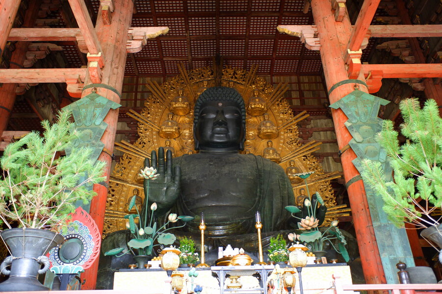 교토 너머, 근교 여행 2부 - 나라 (초스압)_32.jpg