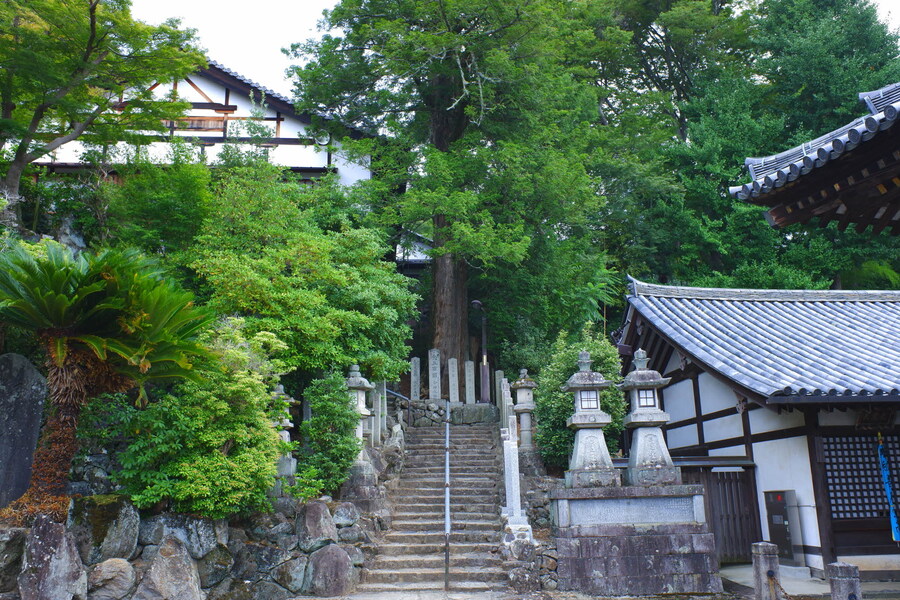 교토 너머, 근교 여행 2부 - 나라 (초스압)_43.jpg