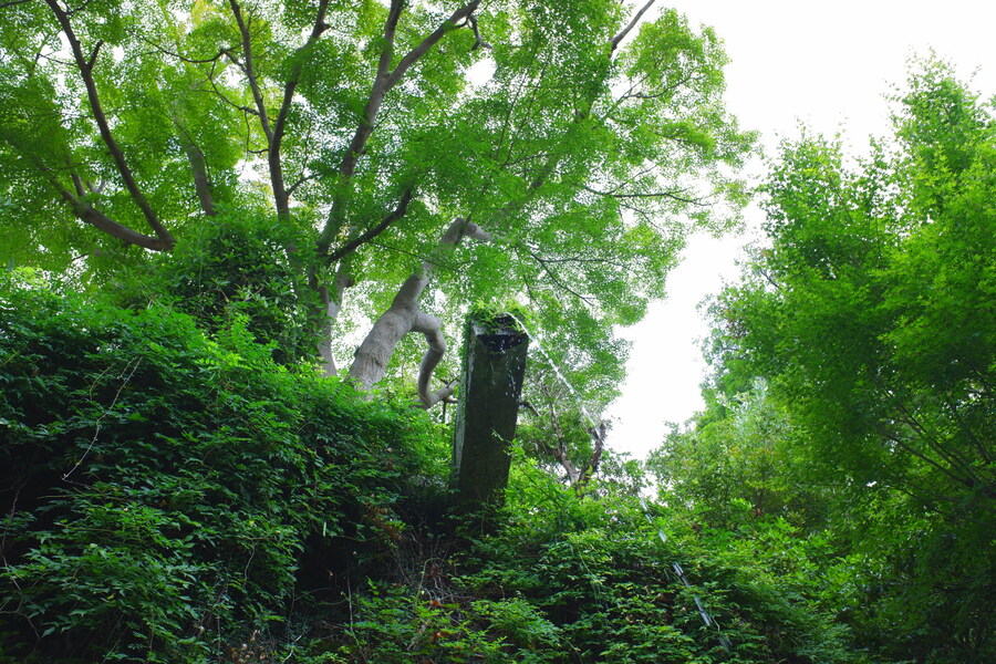 교토 너머, 근교 여행 2부 - 나라 (초스압)_44.jpg