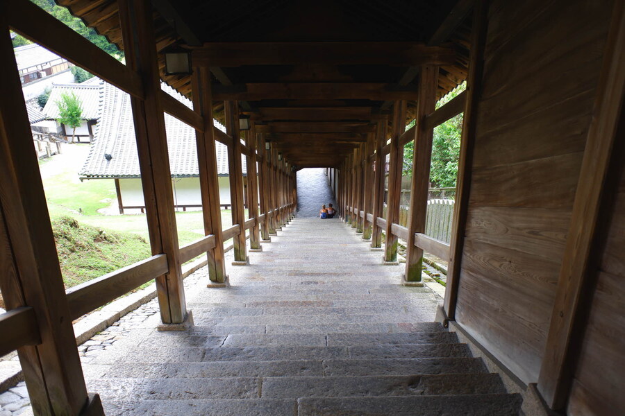 교토 너머, 근교 여행 2부 - 나라 (초스압)_48.jpg