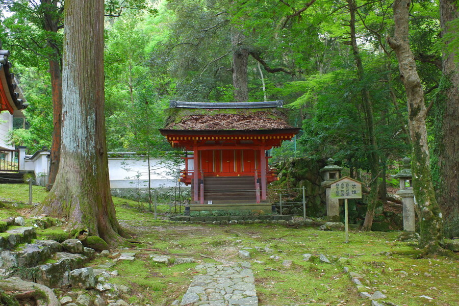 교토 너머, 근교 여행 2부 - 나라 (초스압)_52.jpg
