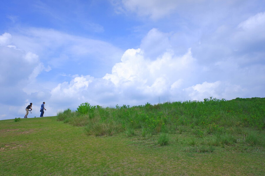 교토 너머, 근교 여행 2부 - 나라 (초스압)_63.jpg