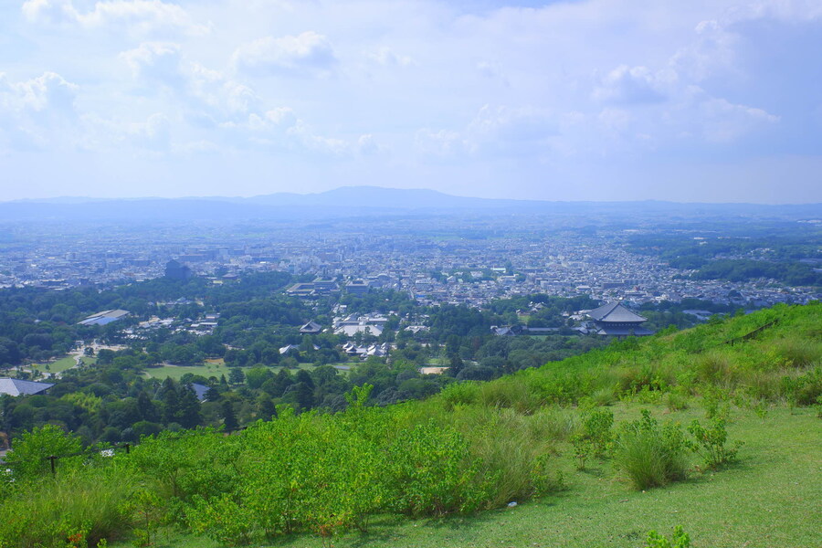 교토 너머, 근교 여행 2부 - 나라 (초스압)_64.jpg