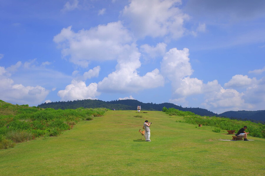 교토 너머, 근교 여행 2부 - 나라 (초스압)_72.jpg