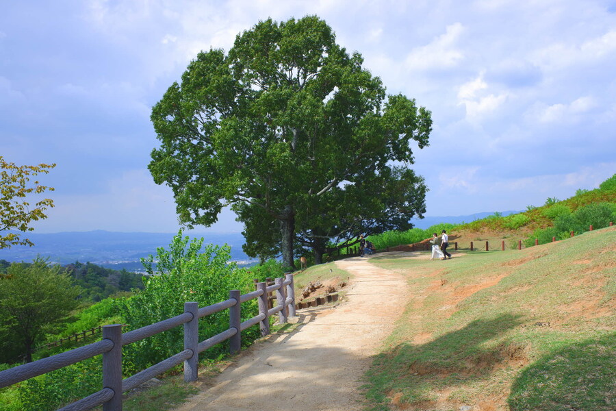 교토 너머, 근교 여행 2부 - 나라 (초스압)_77.jpg