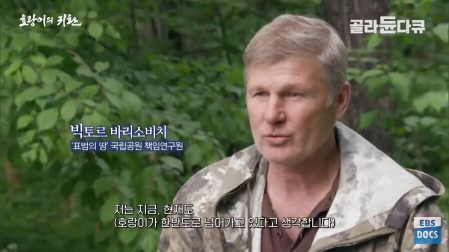러시아 전문가 : 호랑이나 표범은 이미 한반도에서 복원되었을겁니다_1.jpg