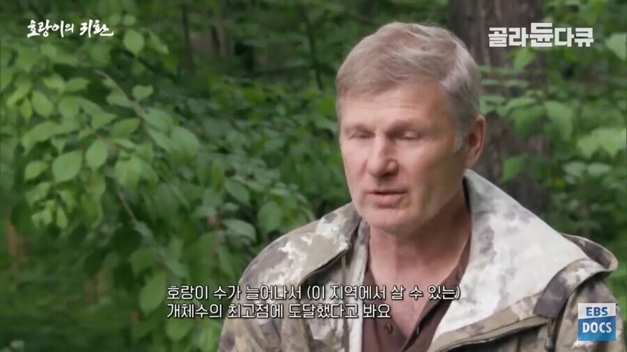 러시아 전문가 : 호랑이나 표범은 이미 한반도에서 복원되었을겁니다_2.jpg