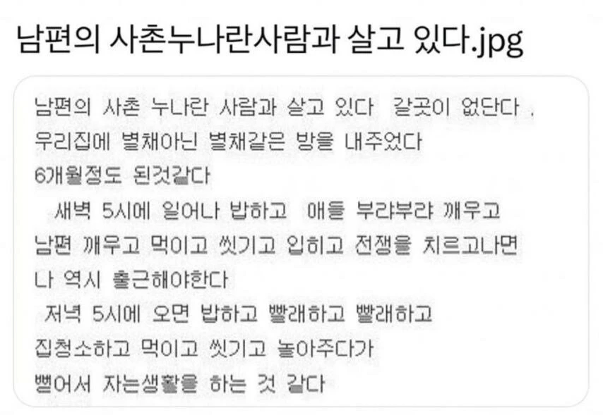 남편의 사촌누나란 사람과 살고 있다_1.webp