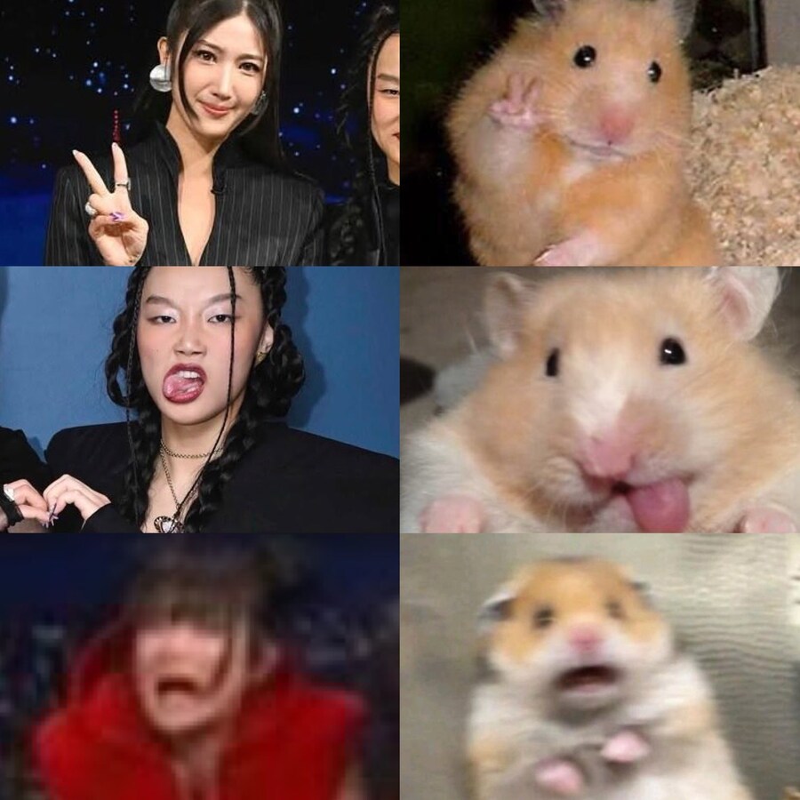 햄스터랑 닮은 헌트릭스 멤버들_1.jpg