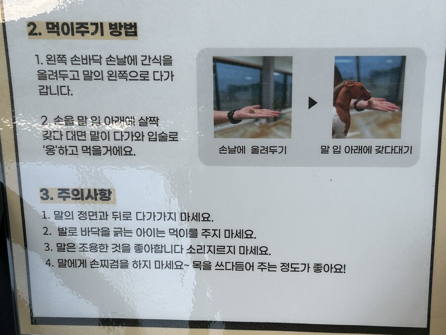 수도권에서 만나는 한국의 우마무스메 안식처_16.jpg