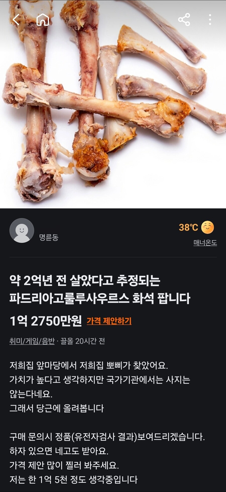안 흔한 당근에 올라온 공룡 화석 판매글류_1.jpg