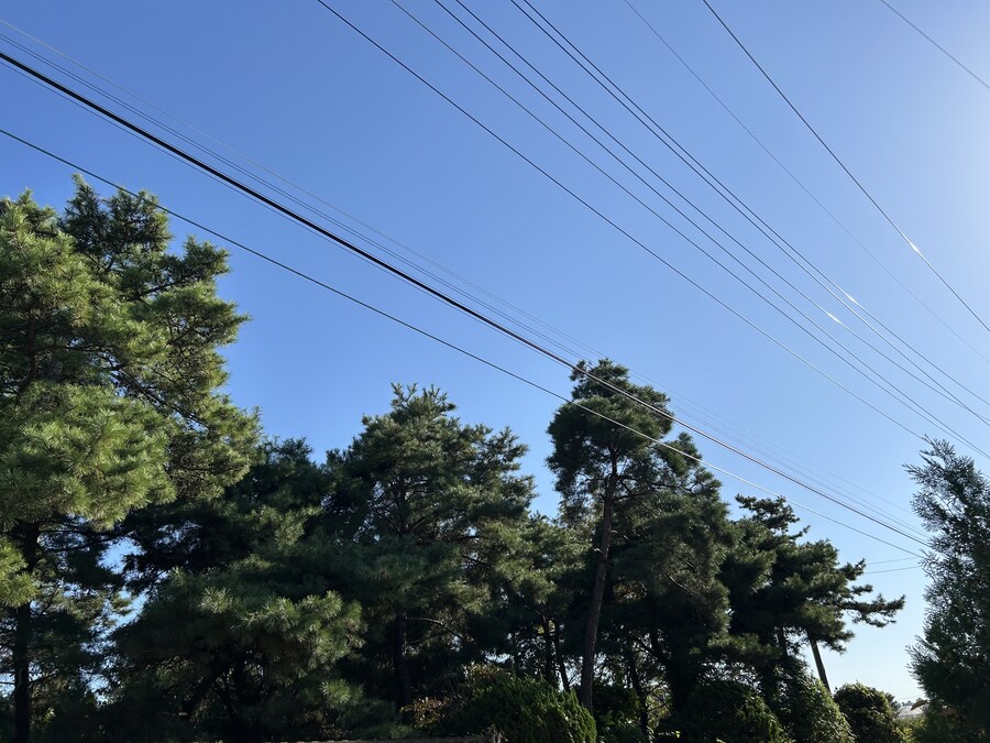 수도권에서 만나는 한국의 우마무스메 안식처_19.jpg