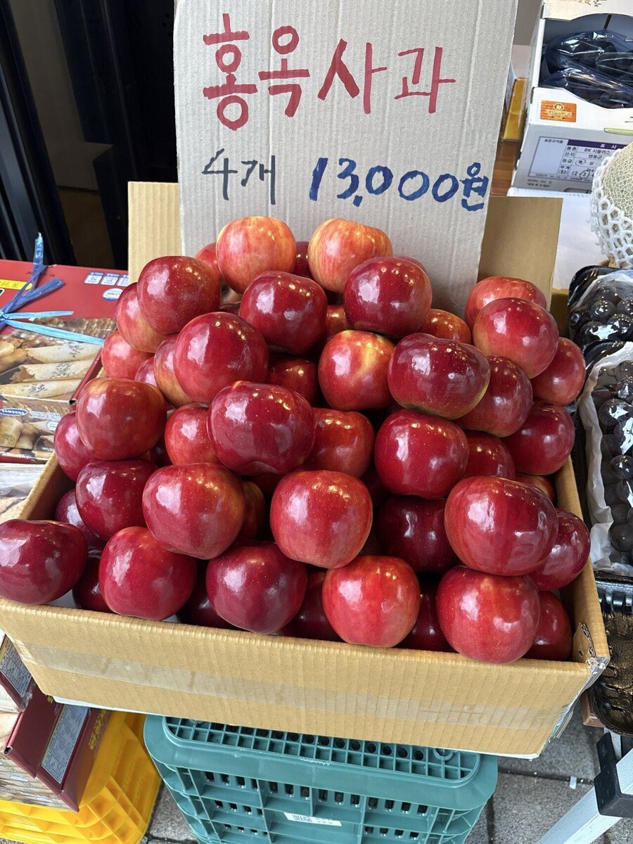 비싼사과vs진짜 맛있는 사과_1.jpg