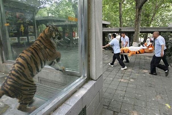 저 양반 무리하더니 결국 실려갔군._1.jpg