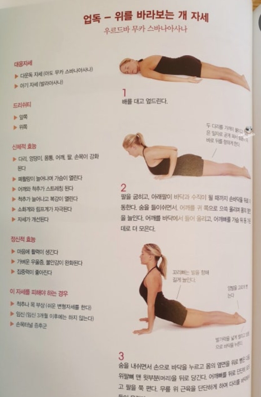 요가)코브라 자세_3.jpg