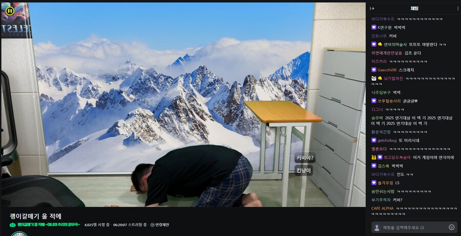 인방) 괭이갈매기 플레이 중인 김도_2.png