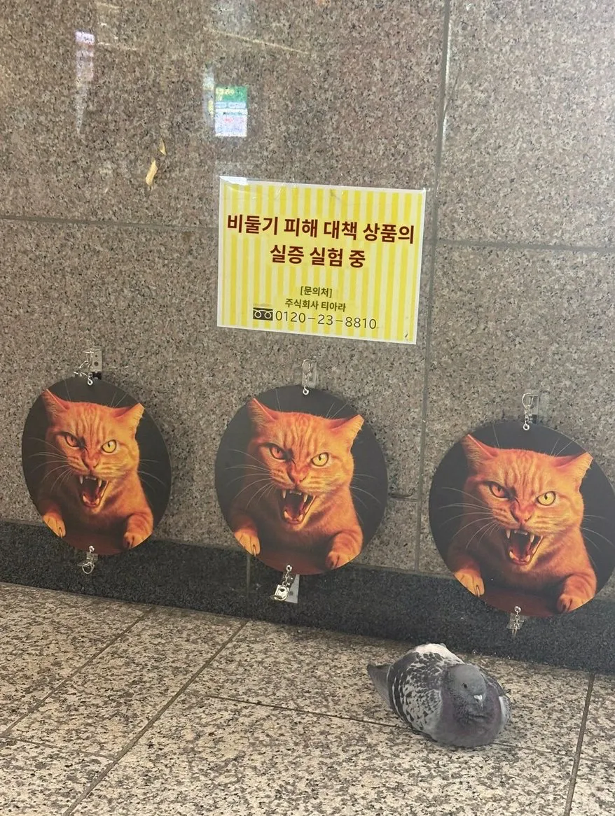 신제품 테스트 결과_1.webp