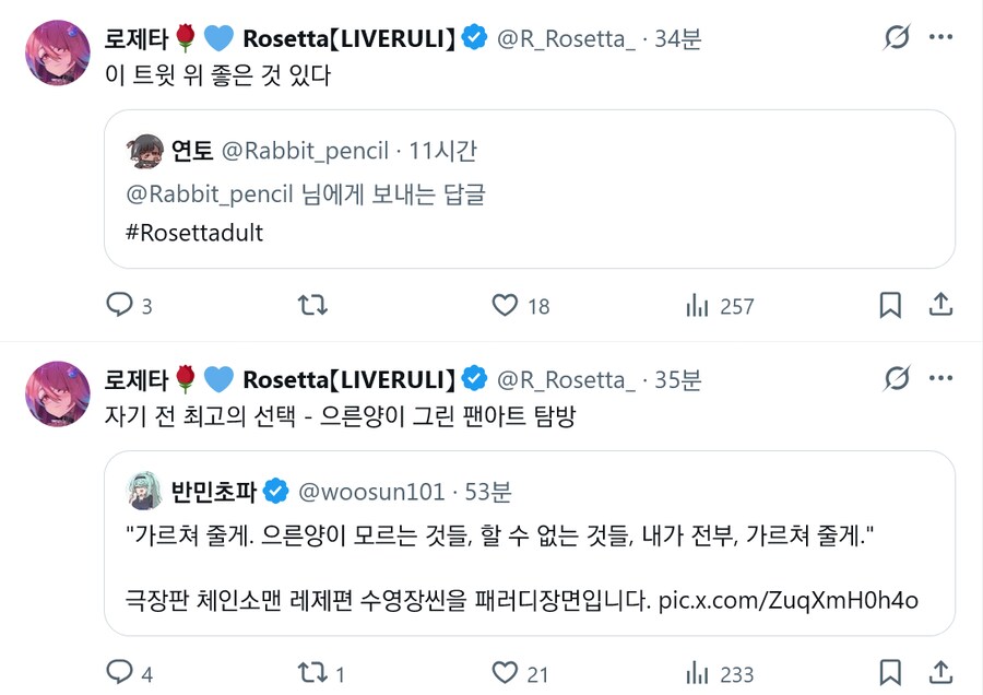 버튜버) 힘든 하루를 마친 로제타가 자기전에 하는것_1.png