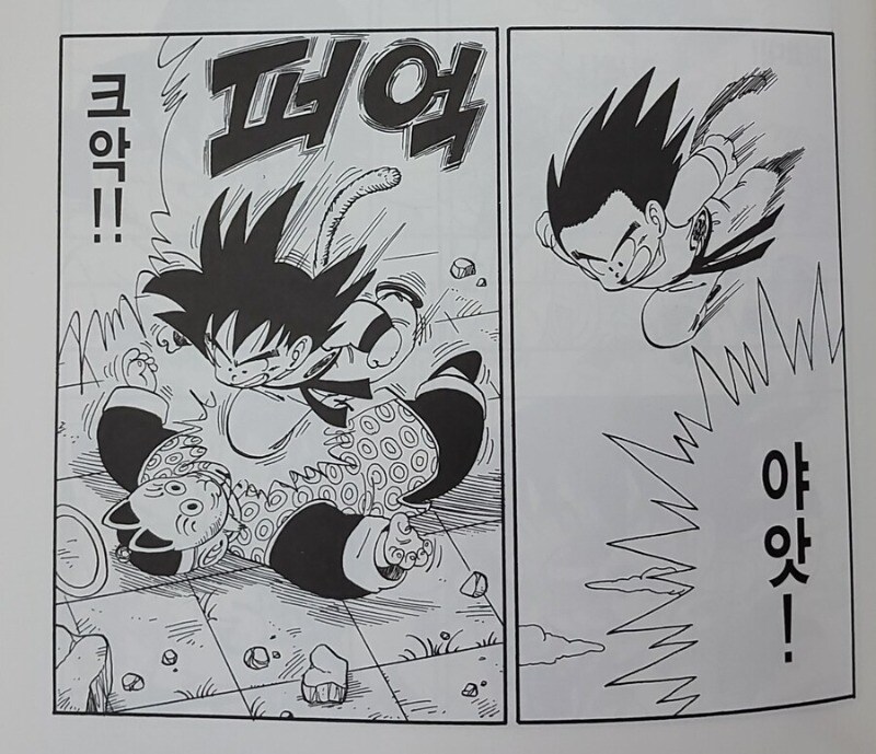 드래곤볼) 불속성 효자_1.jpg