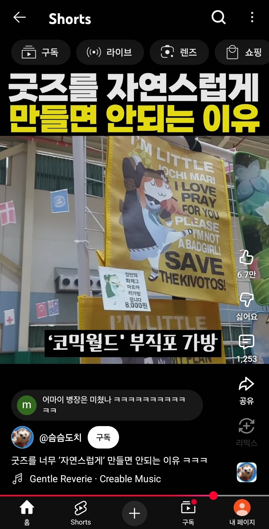 쇼츠가 퍼간 내가 산 이오치 마리 이마트가방_2.jpg