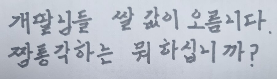 아침을 여는 영포티의 젊은 글씨_1.png