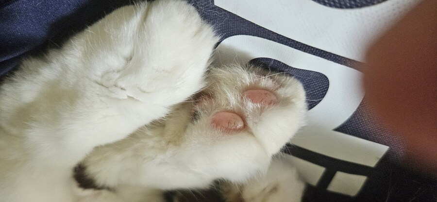 좋은거 보여줄게_1.jpg
