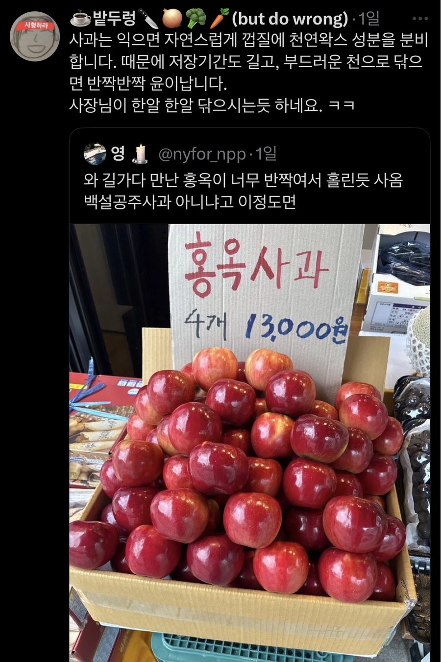 개쩌는 사과 봄_1.webp