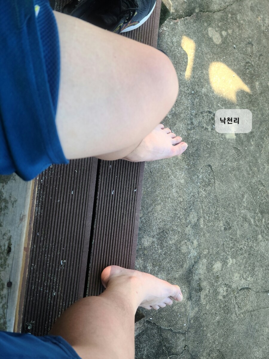 제주 환상 자전거길 234km 도보여행 2일차_10.jpg