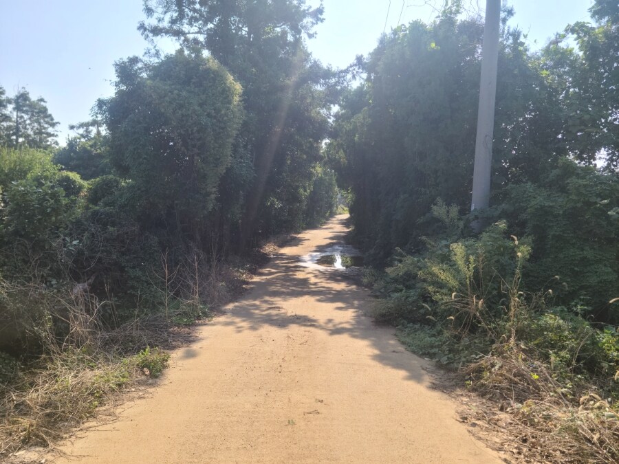 제주 환상 자전거길 234km 도보여행 2일차_17.jpg