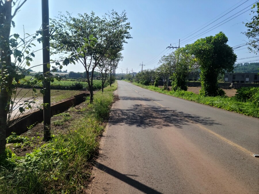 제주 환상 자전거길 234km 도보여행 2일차_18.jpg