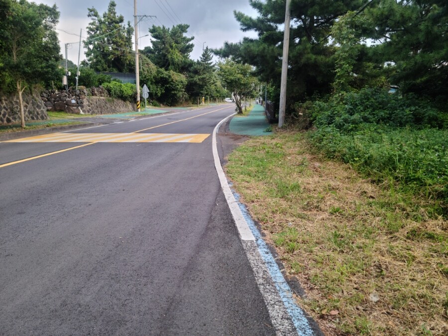 제주 환상 자전거길 234km 도보여행 3일차 -스압주의-_5.jpg