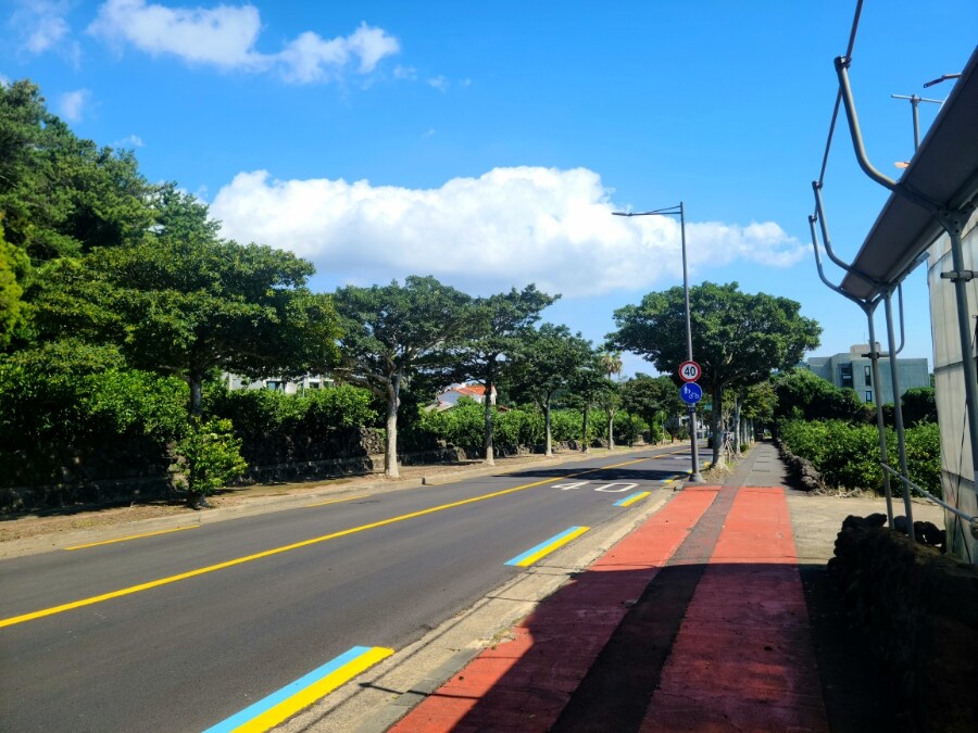 제주 환상 자전거길 234km 도보여행 3일차 -스압주의-_41.jpg