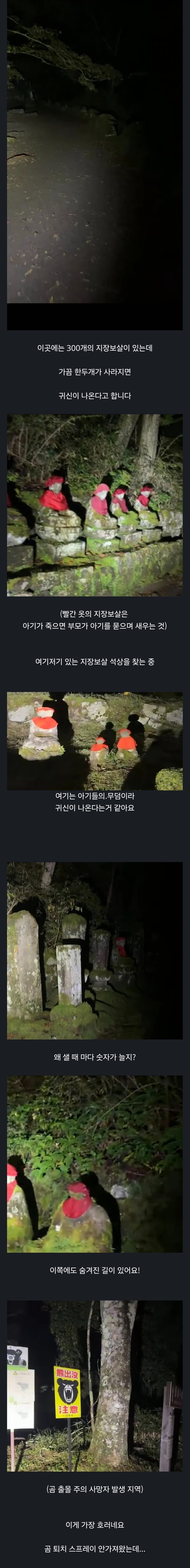 귀신 나온다는 어린이 공동묘지의 밤 모습 수준. jpg_1.jpg