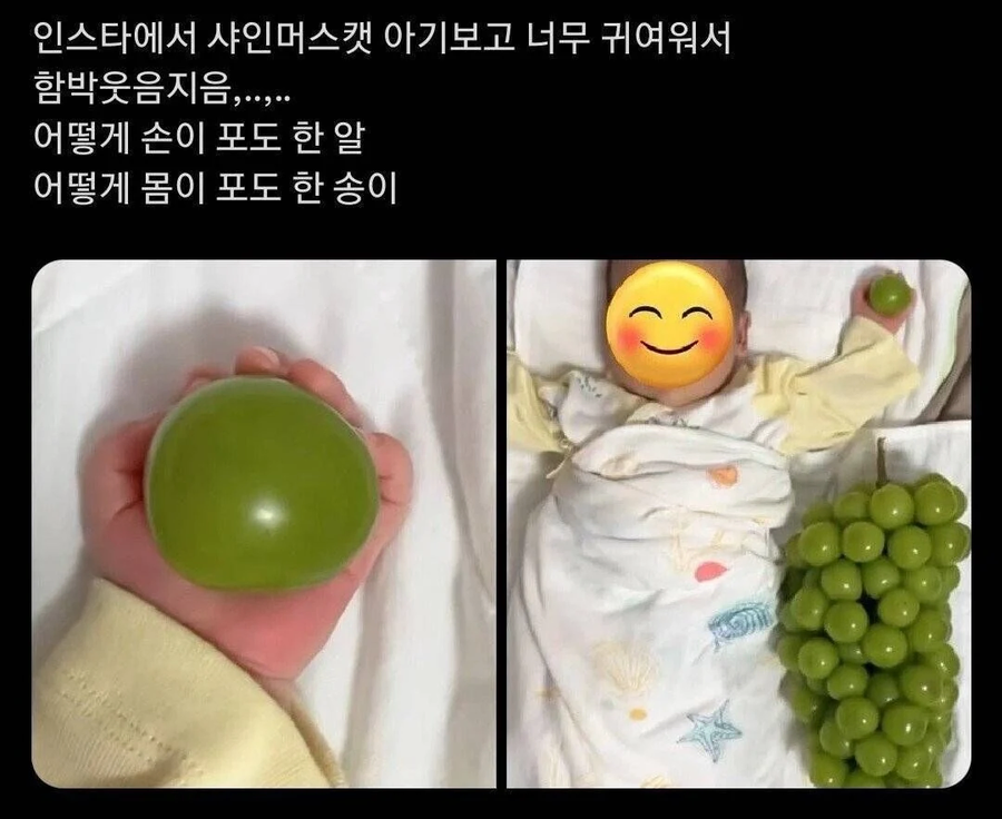 요즘 유행하는 아기 사진 찍는법_1.webp